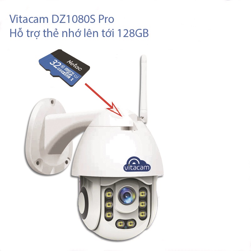 Description: Wzekfd_simg_d0daf0_800x1200_max.jpg